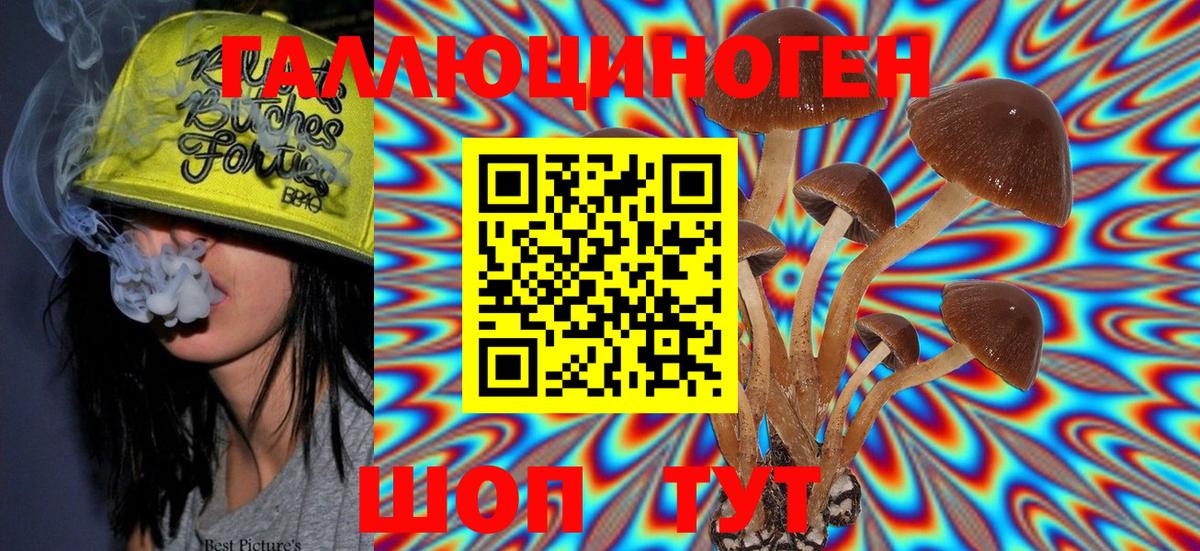 Псилоцибиновые грибы Magic Shrooms  Галлюциногенные грибы Psilocybine cubensis  Вход с VPN  даркнет сайт  Ессентуки 